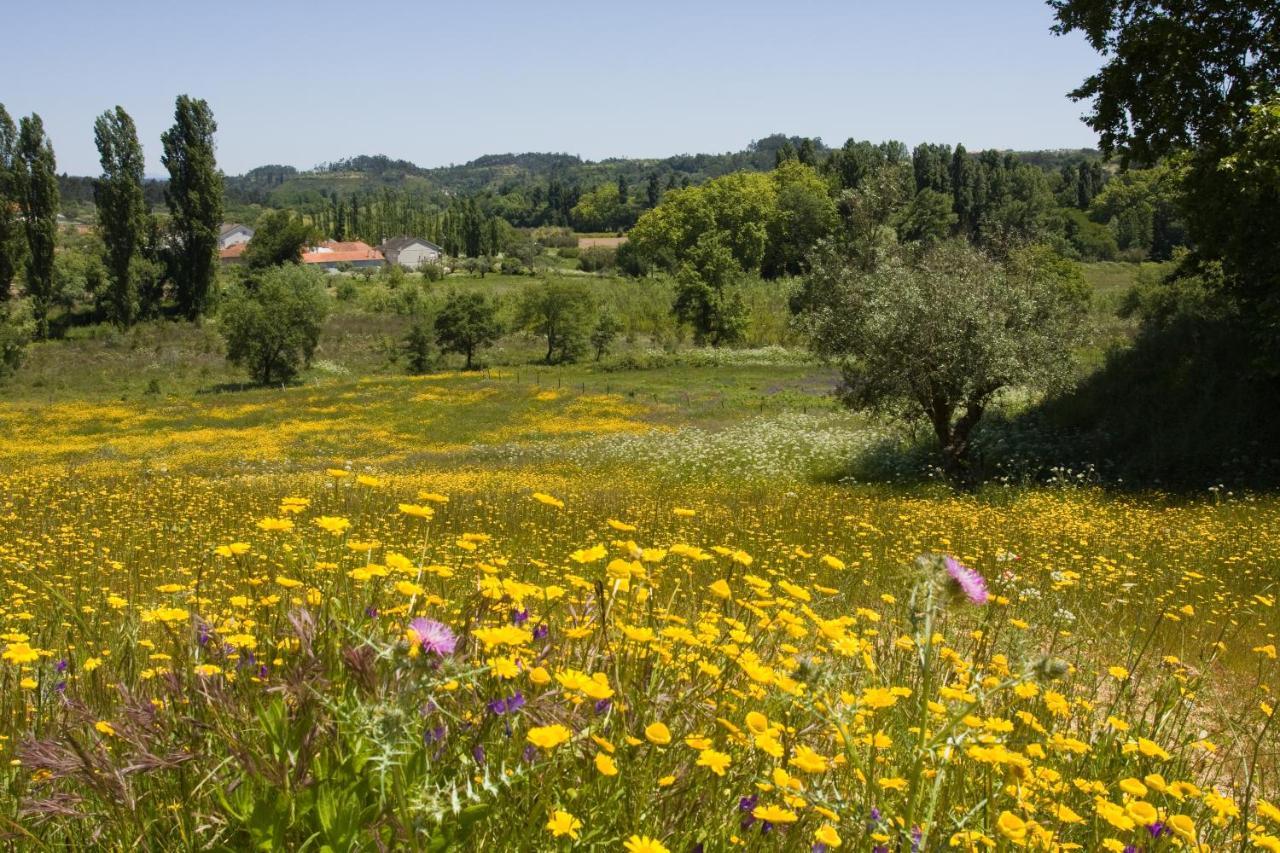 Quinta Da Alcaidaria Mor Villa Ourém Eksteriør bilde